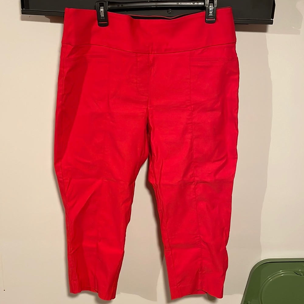 Apt 9 - Brynn Pull-on Dressy Capri Pant -16